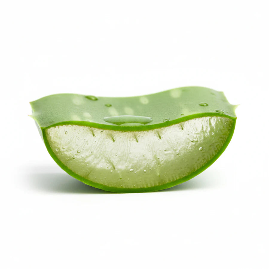 Aloe vera