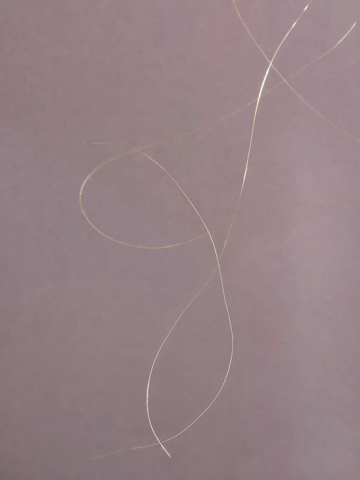 Cheveux fins légers - mèches platine flottant sur fond lilas